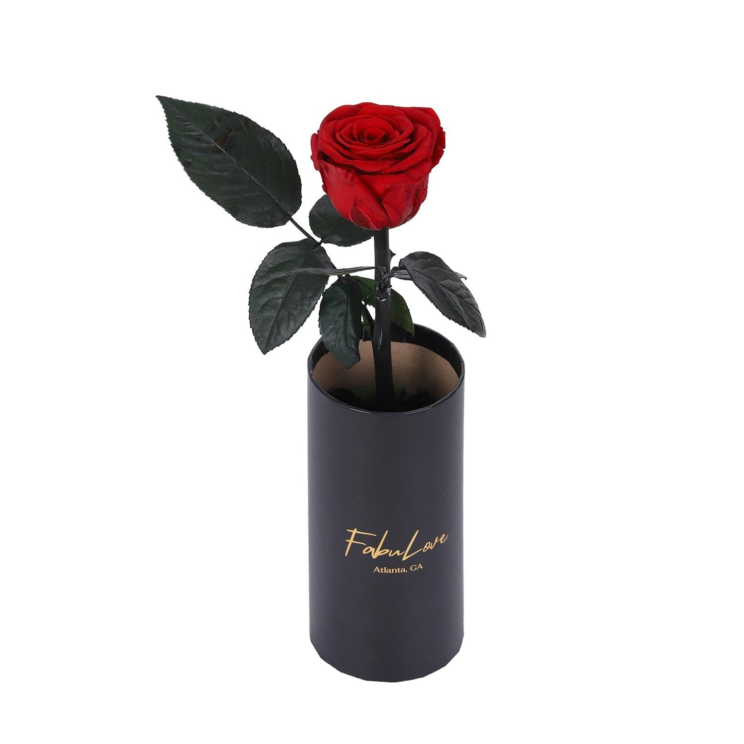 🎁 Classic Single Eternal Rose (100% off)